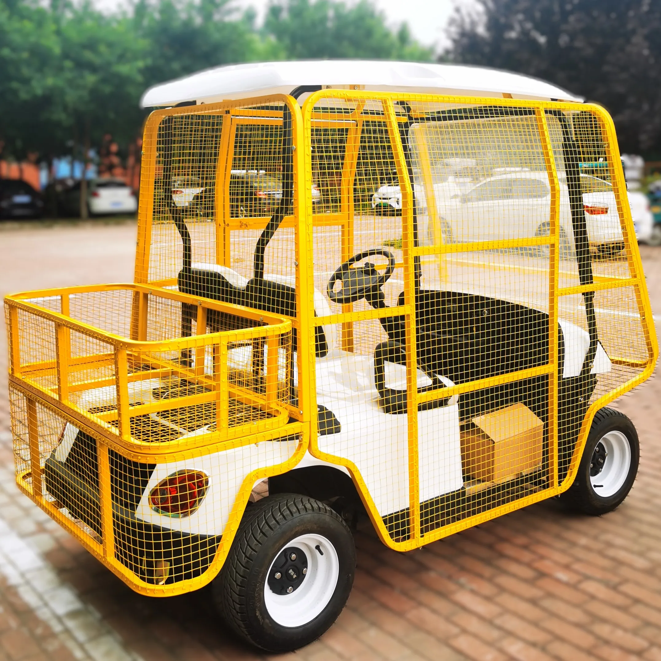 Tong Cai electric golf scooter electric small electric cars for adults Golf Court Customized Electric Caddy Golf Cart