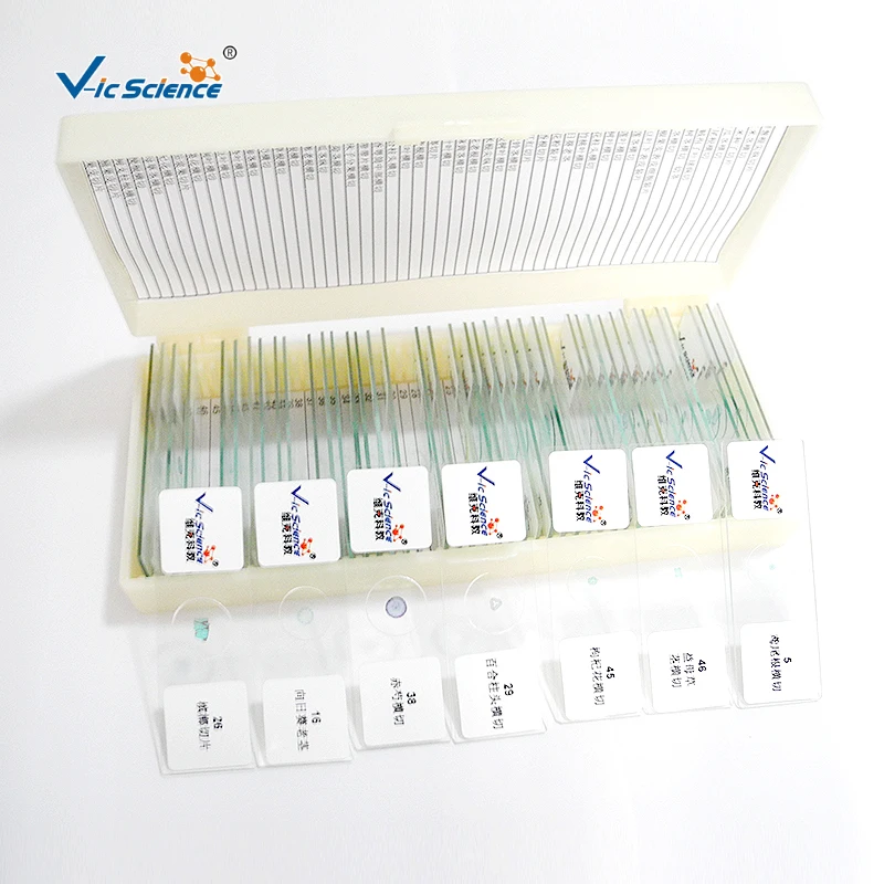 Botany Pathology research Microscope Prepared Slides Disease of Solanaceae vegetable for crop Teaching use