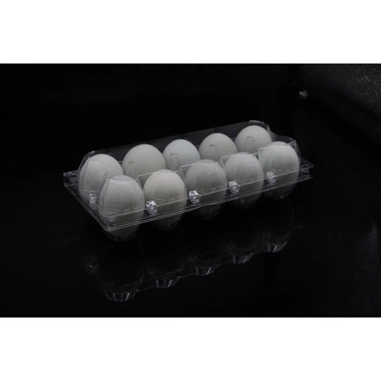 10 Holes PVC PET Transparent Rectangular Plastic Blister Egg Carton Tray Packaging Quail Egg