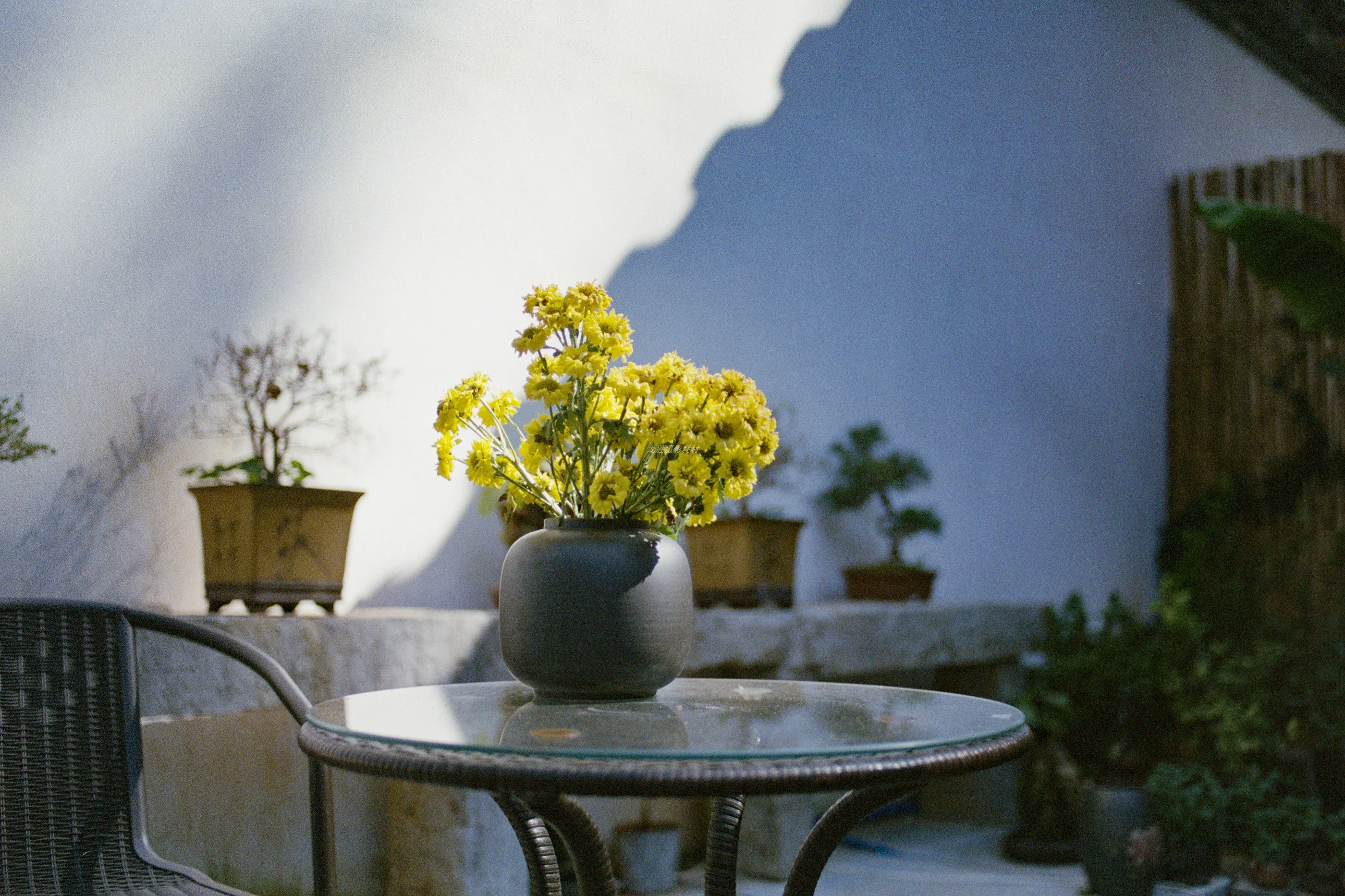 Классическая Fujifilm FUJICOLOR 200 цветная отрицательная 35 мм пленка 36 экспозиция для камеры формата