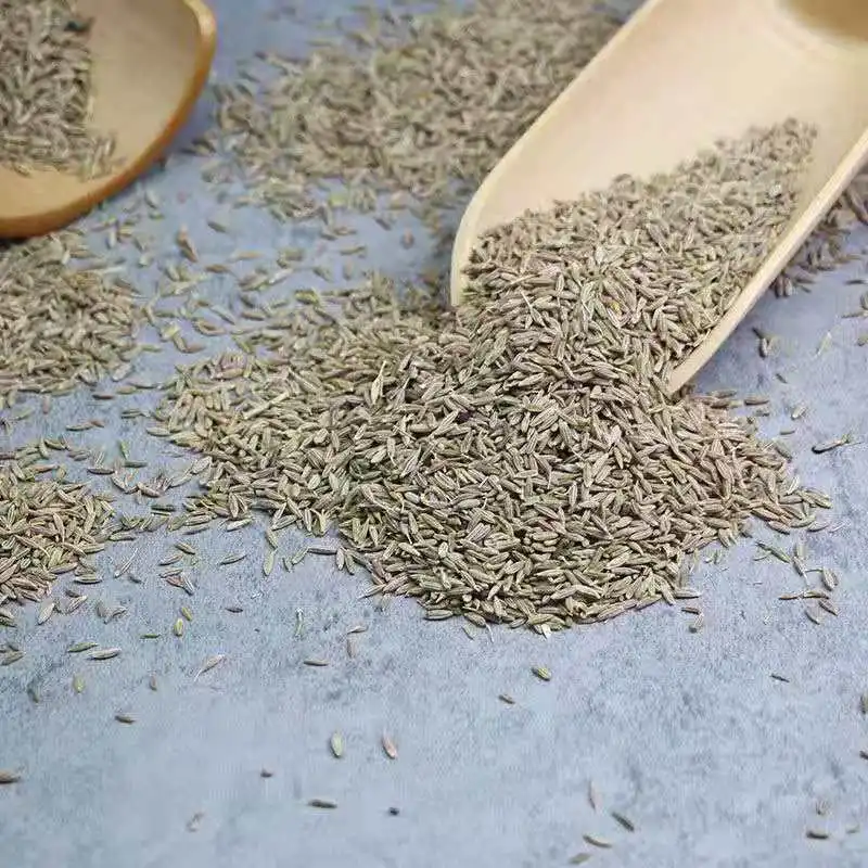 China Single spices&Herbs supplier wholesales high quality India cumin seeds food seasonings cumin spice top quality jeera seeds