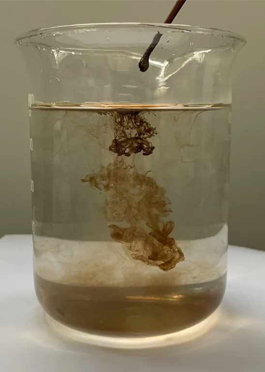 Green Joy agricultural hydroponic nutrient solution water-soluble powder seaweed extract powder fertilizer