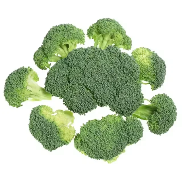 Top Quality Cleaning Fresh Broccoli Wholesale Price Fresh Green Broccoli Vegetables Seller