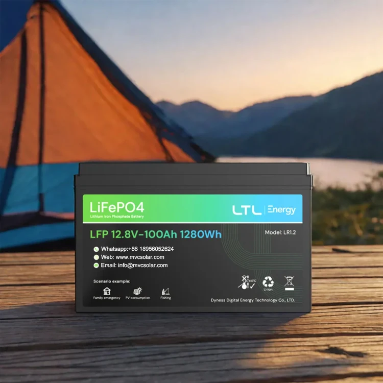 Dyness LTL 1280Wh deep cycle lithium ion battery potable lipo lifepo4 12v 100ah battery for bosch