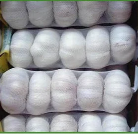 Китай/китайский свежий чеснок оптом, Обычный белый для оптовой продажи, 2021 новый урожай, свежий чеснок, экспортеры