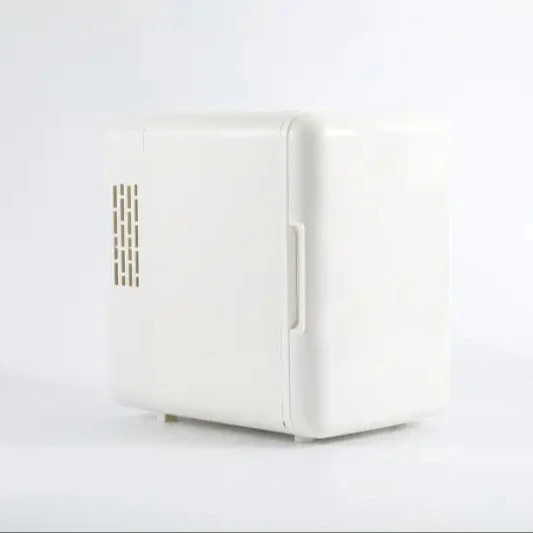 China Supply 12v 4L Capacity Pp Material Use For Cars Home Hotel Apartment Portable Mini Refrigerators
