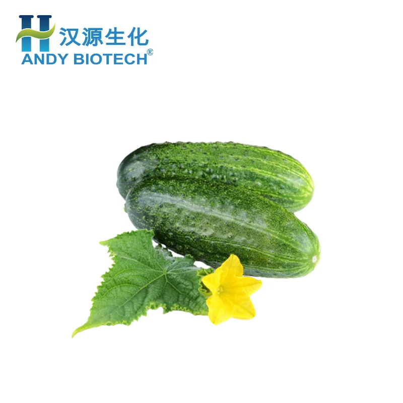 Food Grade Water Soluble Instant  Cucumber Juice Powder Cucumber Extract Powder