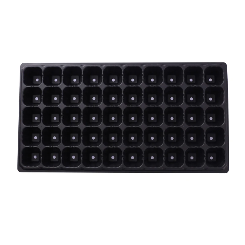 50cells (5).jpg