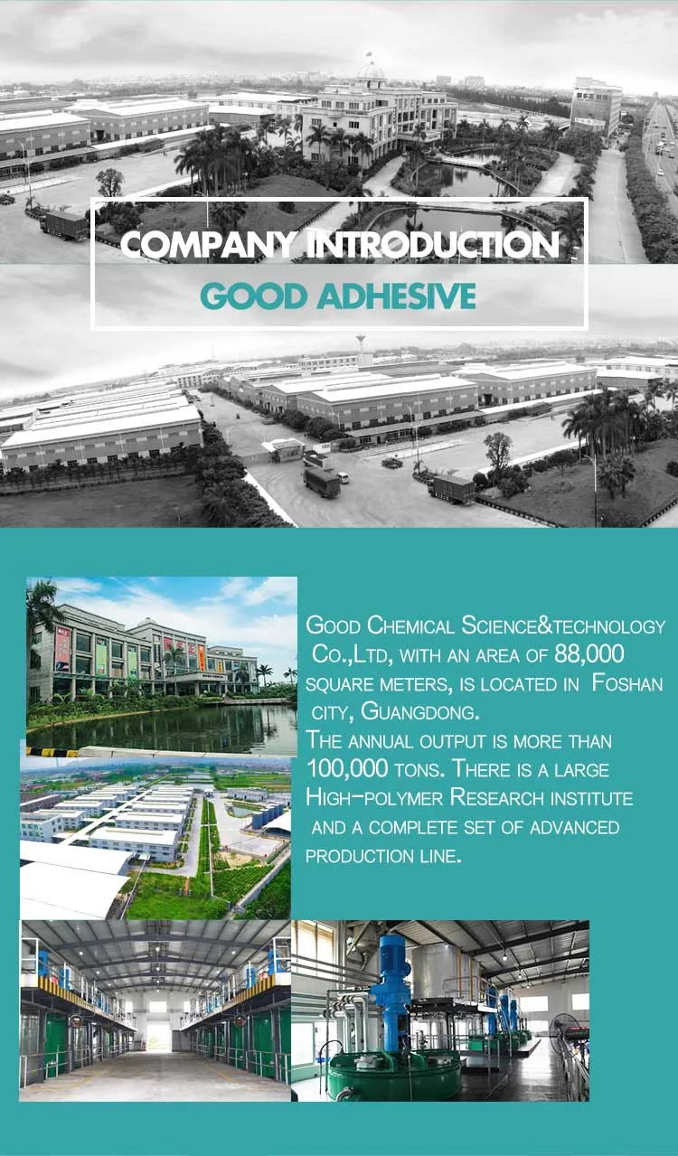 company profile