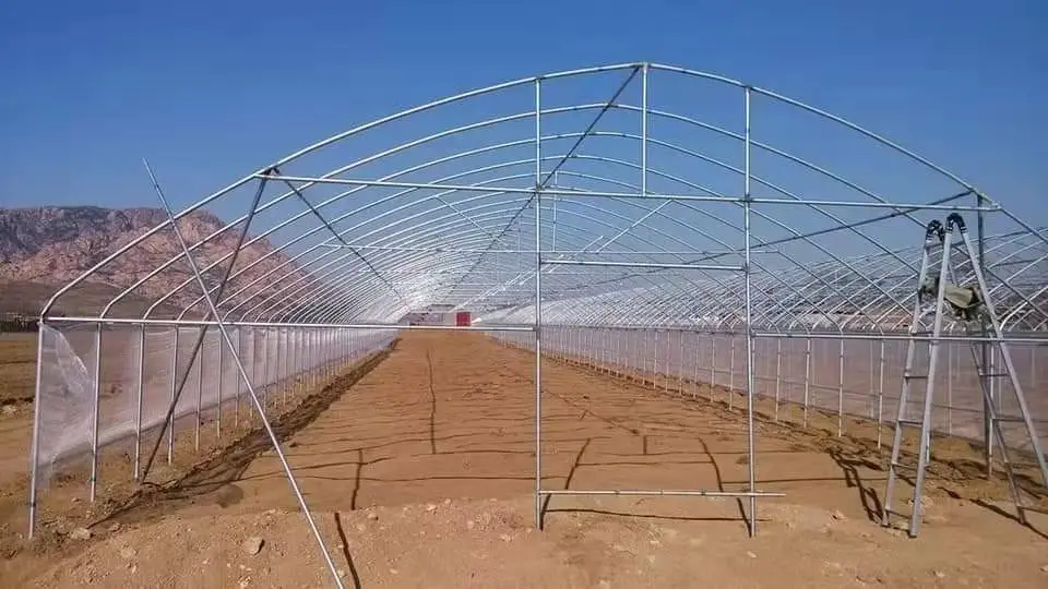 Однопролетная теплица SUNSGH полиэтиленовый туннель металлический каркас для посева овощей в индейке овощеводство