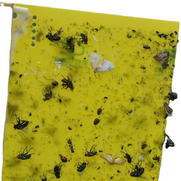 Excellent sticky pest control trap fly catchers flying glue trap from factory