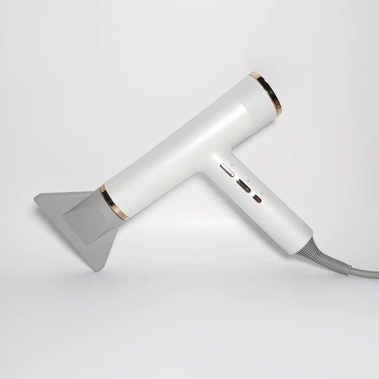 Factory Price Best Price Private Label Professional Hair Dryer Salon Hair Dryer Ionic