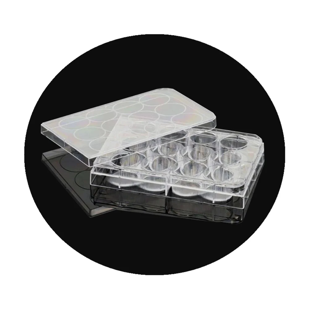 Shira Wholesale Plastic Sterile Well Plate With 6/12/24/48/96 Cell Culture Plate Petri Dish Plate For Other Lab Supplies