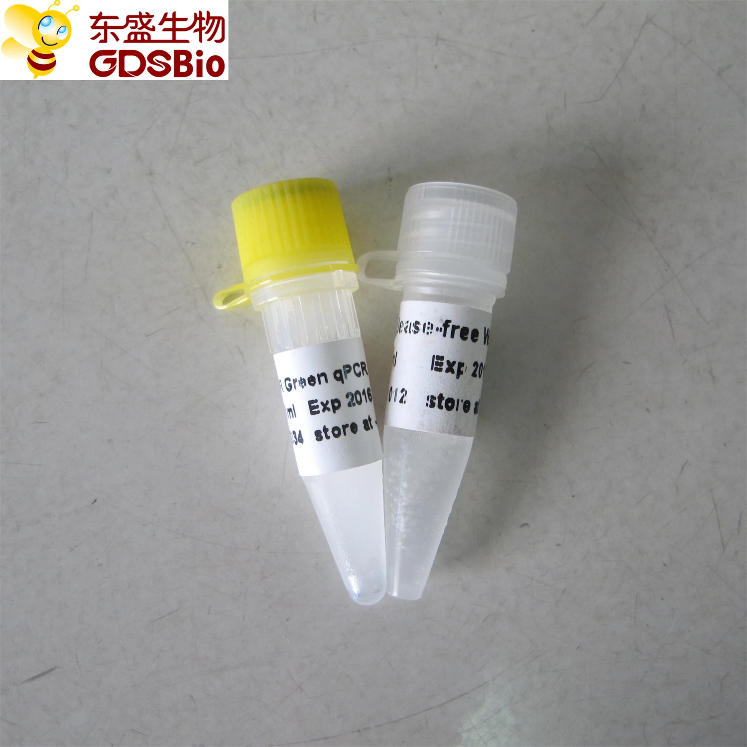 SYBR Green qPCR Mix, chemistry dye Real Time PCR, P2091 1ml