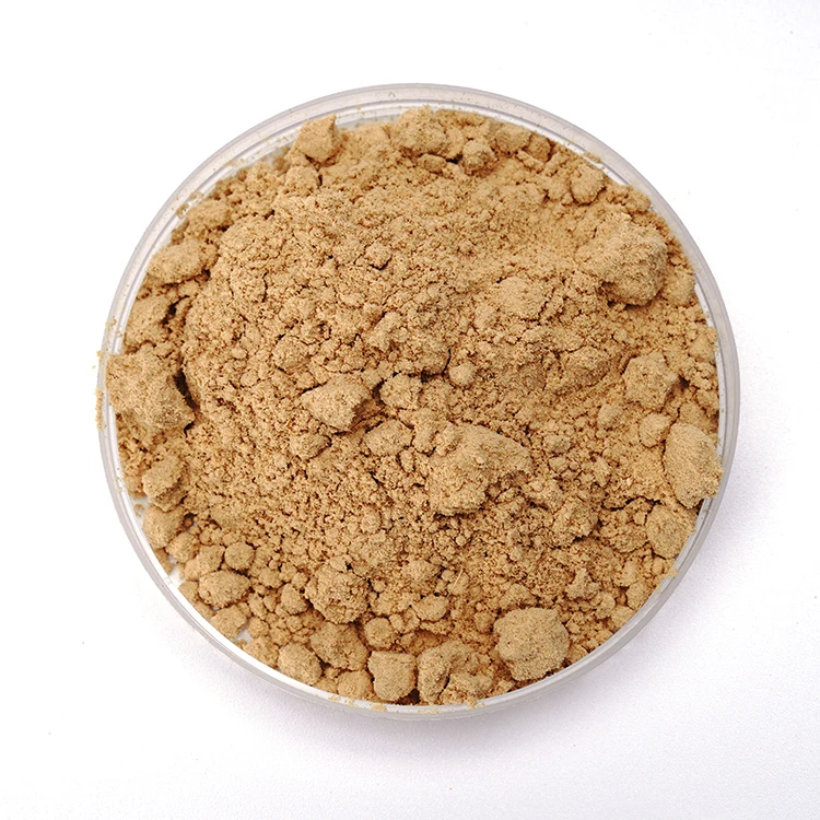 Supply Pure Natural Organic Ginger Root Extract Powder Plant Extract Ginger Root Powder