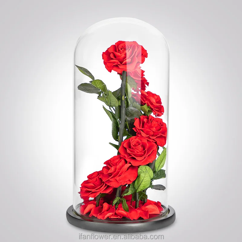 2021 Preserved flower in glass long life rose wholesale dried flowers preserved orchids preserved flowers