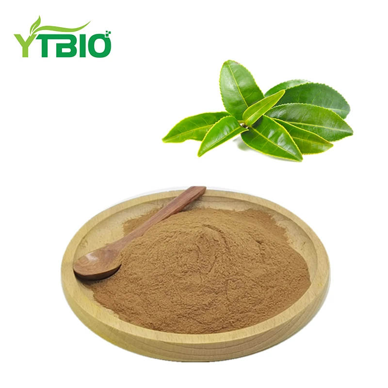 
Green Tea Extract 98% Tea Polyphenols CAS:84650-60-2 