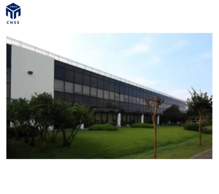 Q355B Engineered Industry Construction Prefabricated Modern Metal Light Frame Structural steel structure buildings