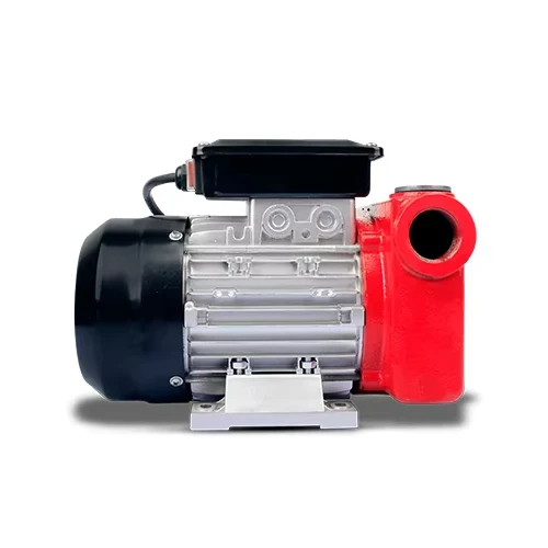 Топливный насос AC дизельный 110V/220V DYB-80