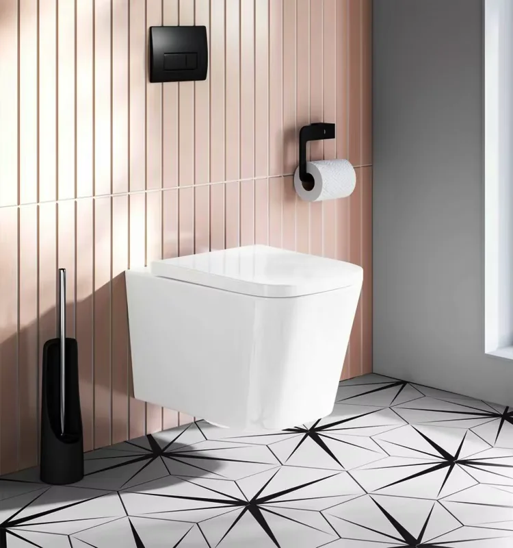 Modern Wc wall toilet cabinet One-Piece Ceramic Floor Flush Toilet P-Trap Drainage for Hotels Australian Lavatories