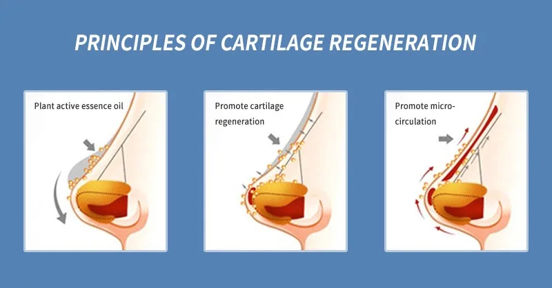 OEM 10ml Moisturizing Nose Beauty Care repair essence oil Tightening Nose Lift Up Essential Oil