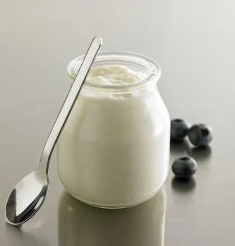 lactobacillus Yogurt Starter Culture for yogurt fermentation yogurt DIY