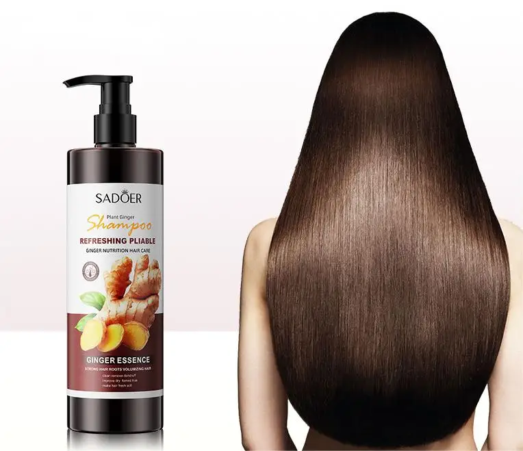Hair Care Personal Ginger Shampoo Remove Dandruff Prevent Hair Loss Herbal Oil Control Best Shampoo For Oily Hair
