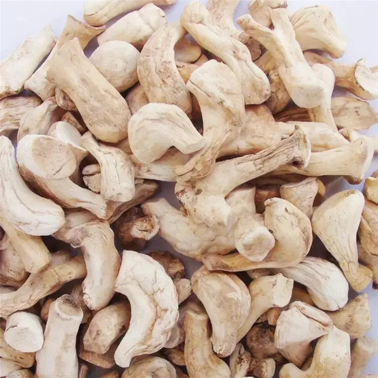 Outstanding Quality Shiitake Foot Shiitake Mushroom Stem Mushroom Root