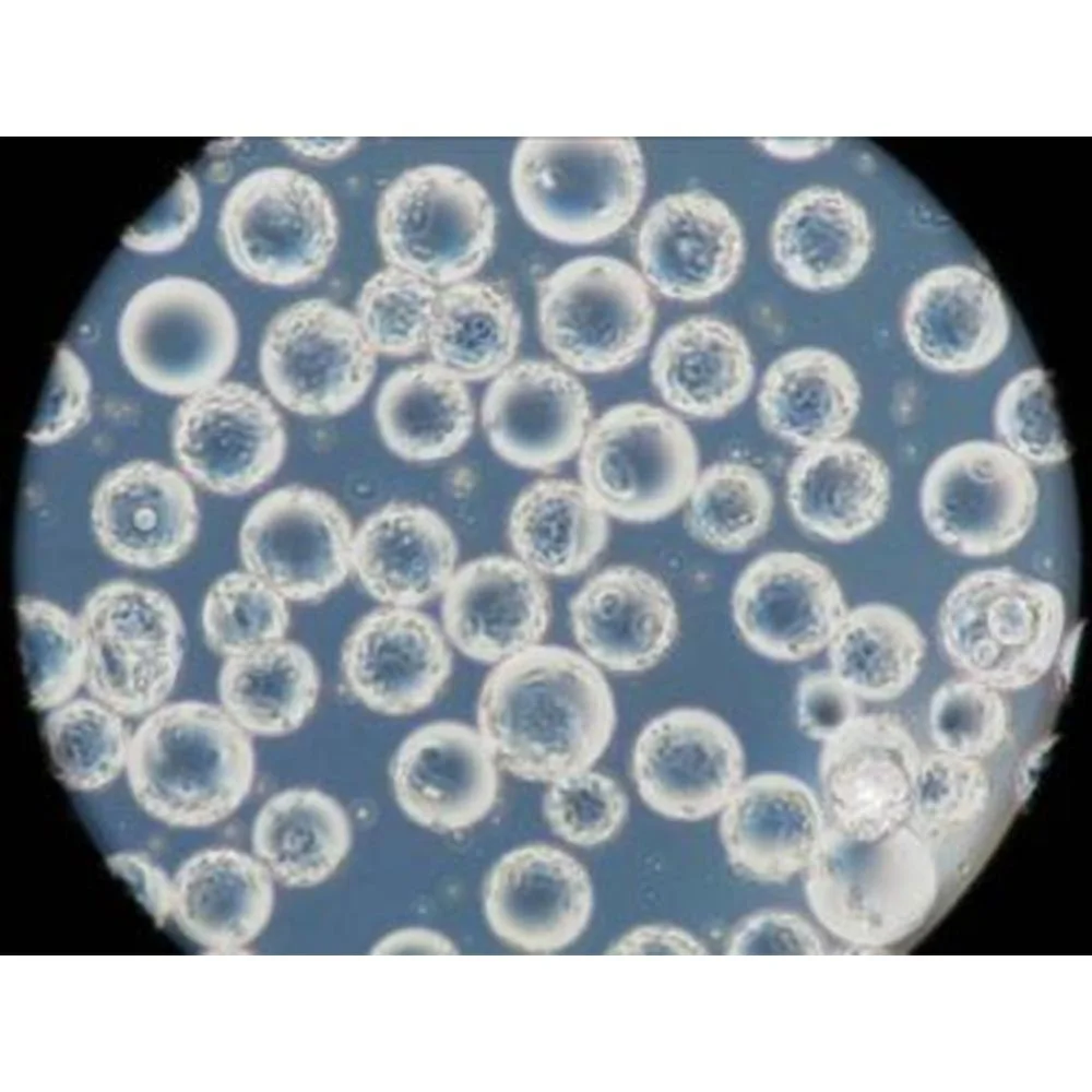 Оптовая продажа высокогидрофильная подвеска основной клеточный культиватор Сферический биореактор