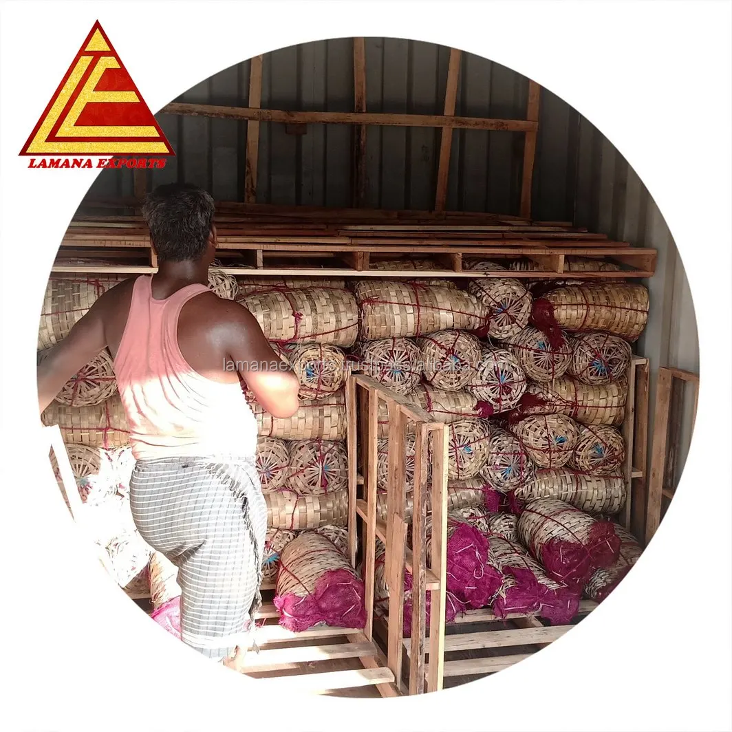 Rose Onion 27mm up Bangalore Rose New Crop for Malaysia Singapore Vietnam Fresh Non-peeled COMMON Round Liliaceous Vegetabless