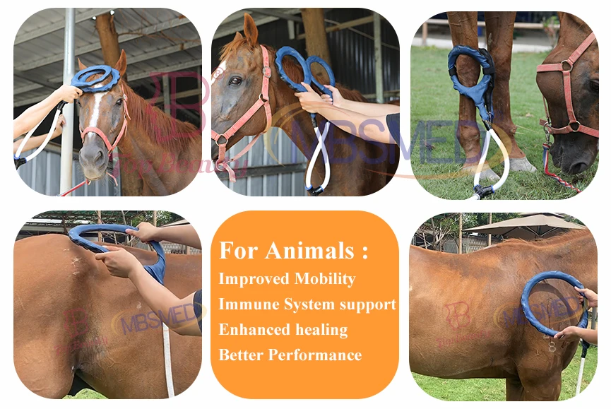 Pemf Mat Loop Pulsed Electromagnetic Field Pemf Equine Pmst Loop Pro Max Magnetic Therapy For Body Pain Recovery Machine