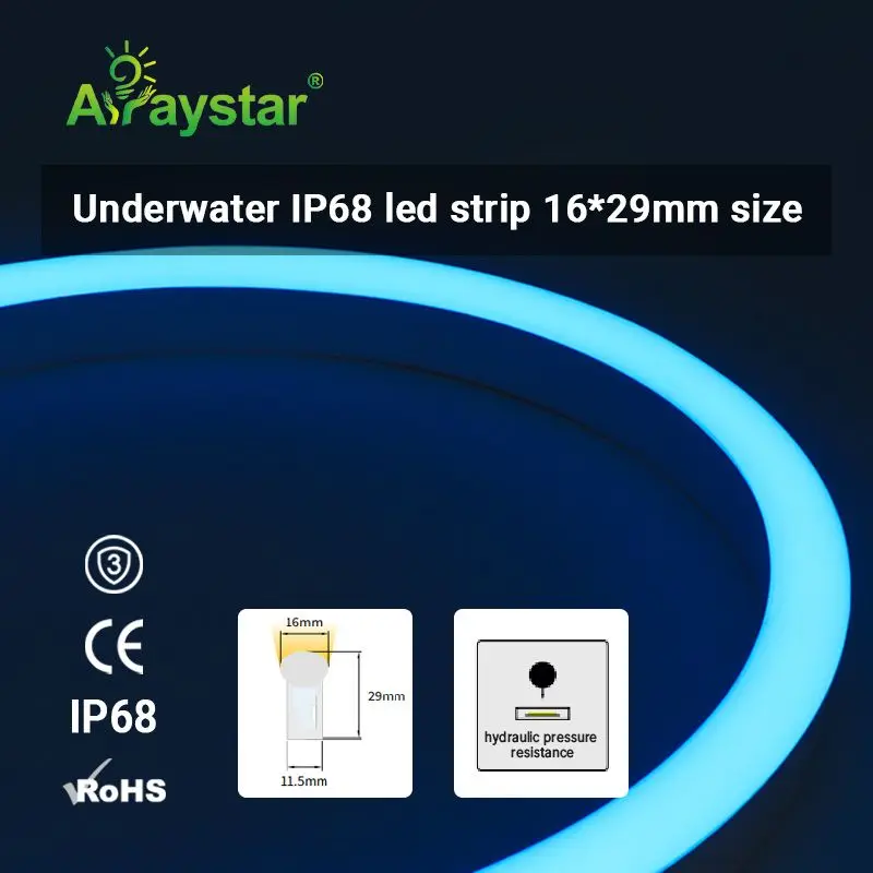 IP68 waterproof PVC housing 5050 RGB LED strip light 24V underwater LED neon flex strip for pool lighting and fountain lighting