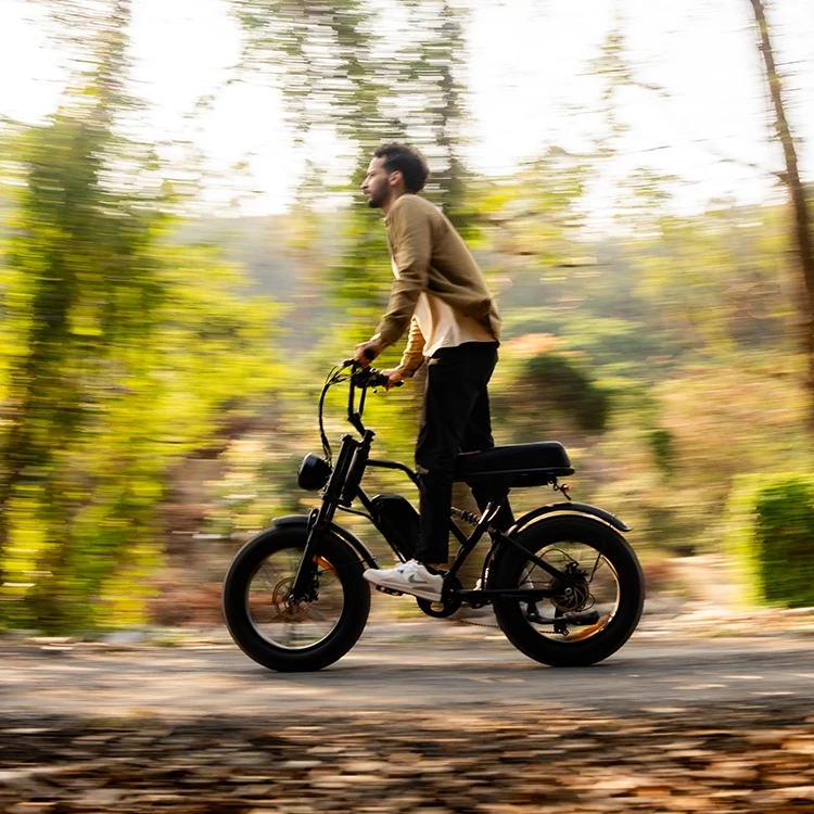 dynavolt lithium battery 48V 20 inch electric bike electric bike 1000W motor cycles