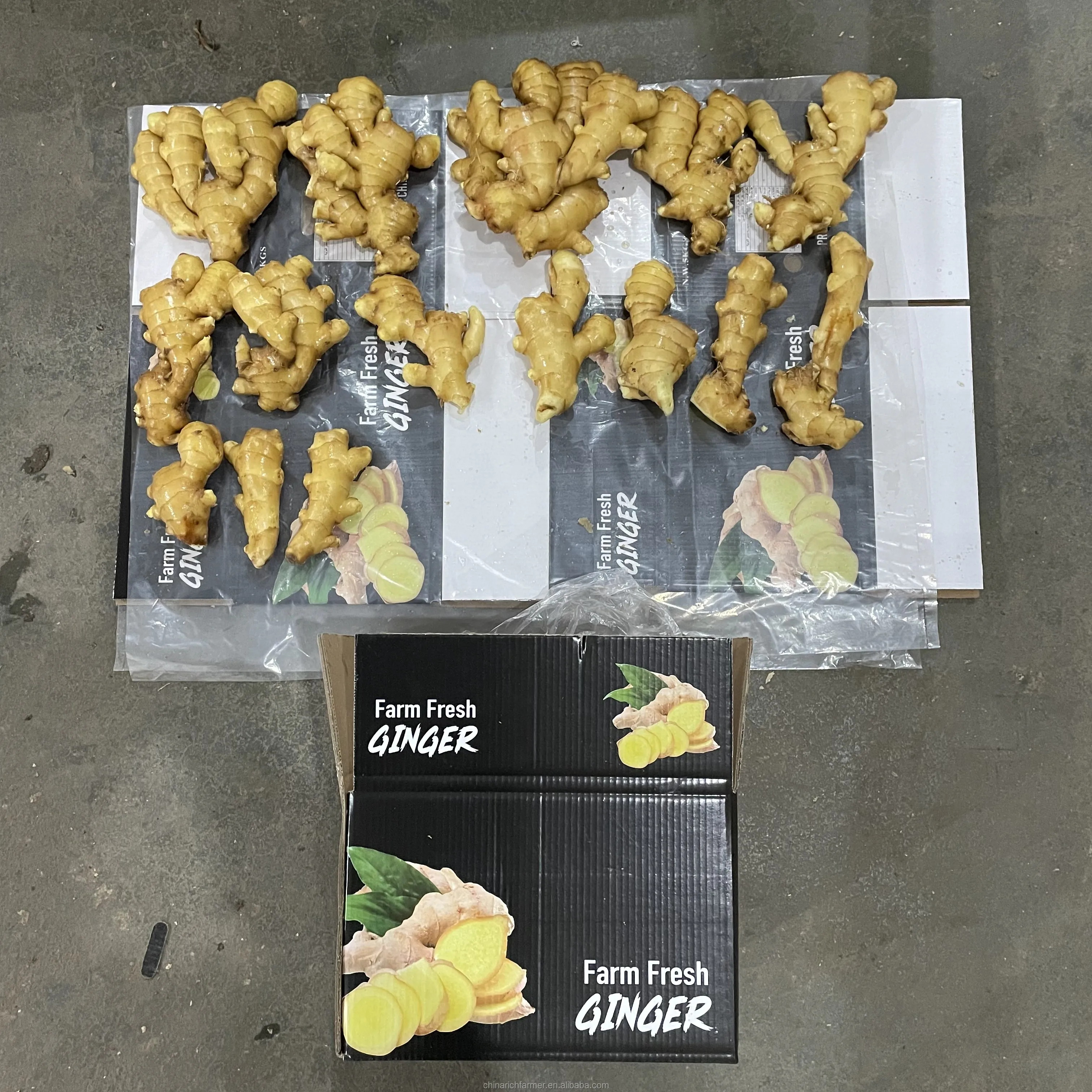 new crop fresh ginger best price fresh washed ginger best quality professional export organic