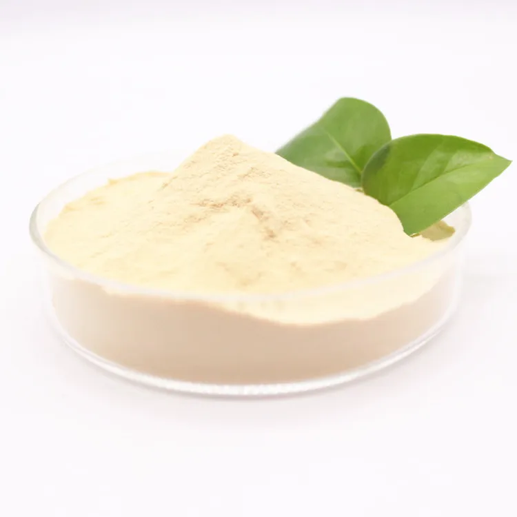 Organic Fertilizer Animal Feed Yellow Powder Amino Acid Powder CAS 65072-01-7 CORN GLUTEN AMINO ACIDS