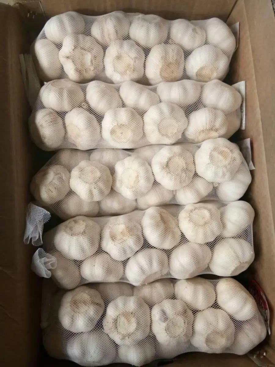 
2021 New Crop Normal White Garlic ship by 1x40fcl reefer container Garlic sizes 4.5cm, 5.0cm, 5.5cm, 6.0cm 
