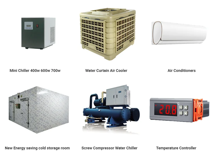 showcase chiller display