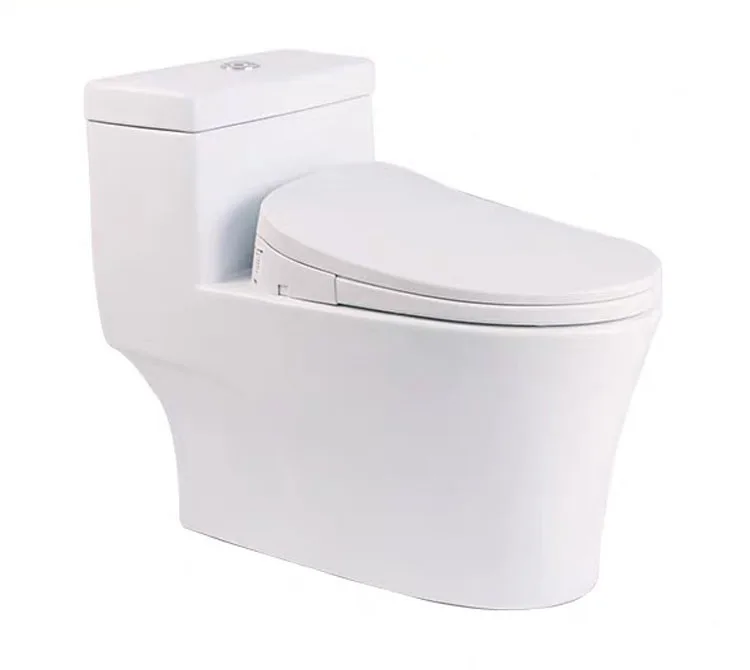 E2101 Duroplast Cover Remote Control Smart Toilet Bidet Automatic Toilet