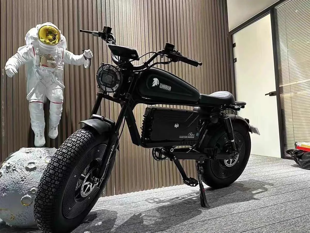 2024 Newest EcoRider HiMoto Fat Tire Electric Bike 20*5.0 Tire 48V 30Ah/60Ah All Terrain Electric Hybrid Bicycle