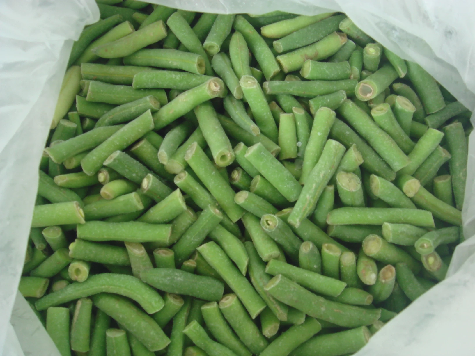 Wholesale IQF Frozen Vegetables Frozen Long Green Beans