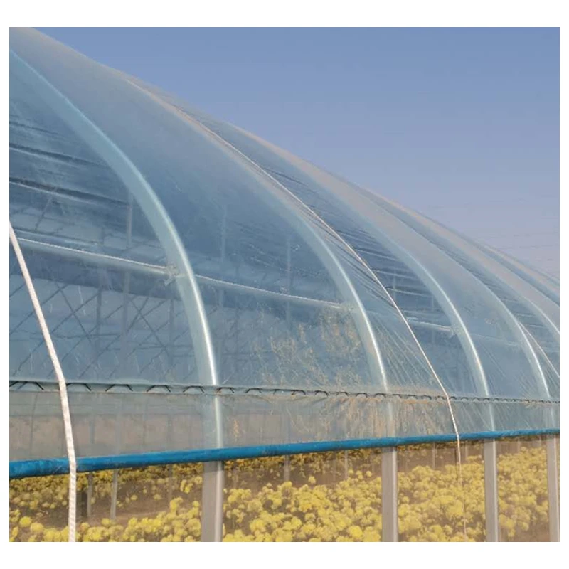 Your Trusted Source for Affordable, Durable and Wind-Resistant Greenhouses