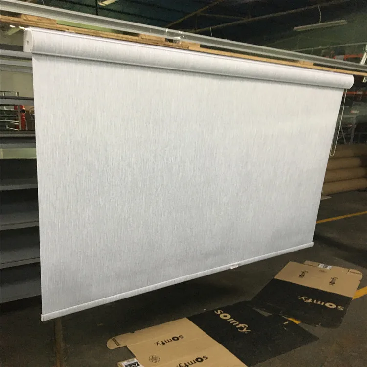 Roller Shades,roller for Window Decor Chain Control Roller Blinds Blackout Steel French Window Modern Chinese New Year Fireproof