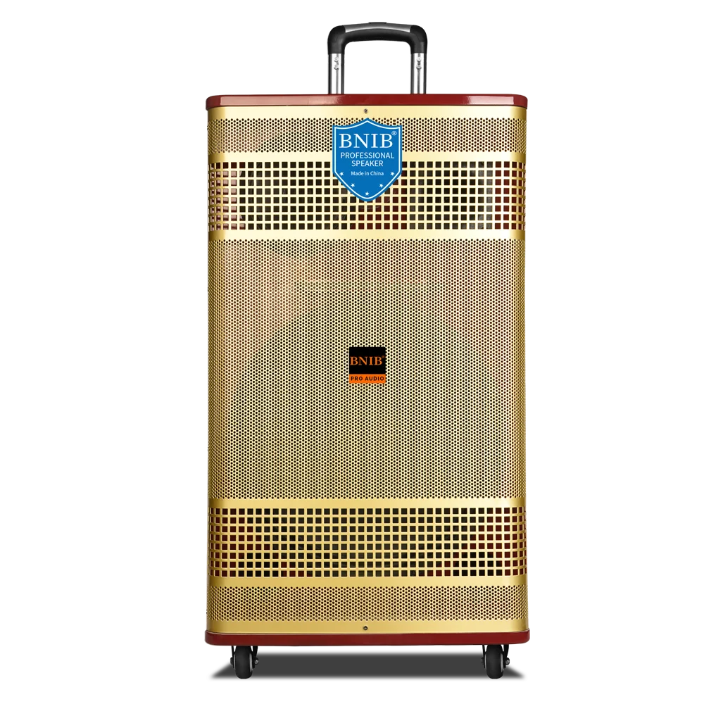 Pro Portable Big Size Speaker Wireless Trolley 15 INCH Loudspeaker Outdoor Stage Big Power 1000W Boombox Blue-tooth TF card