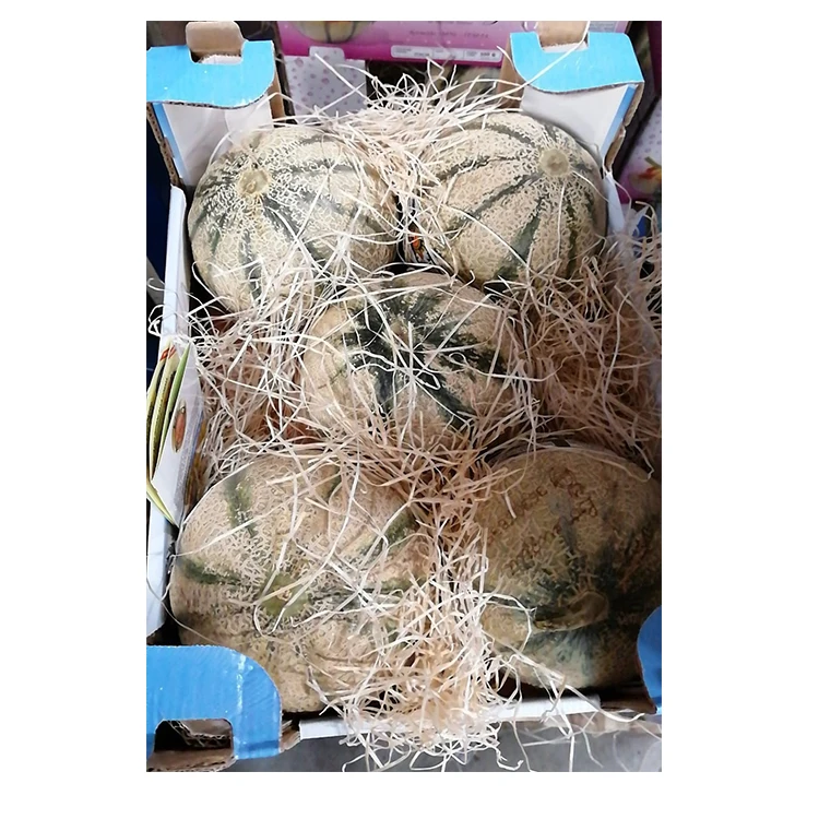 Italy lorenzini Orange Pulp Melon Musk,Fresh Fruit