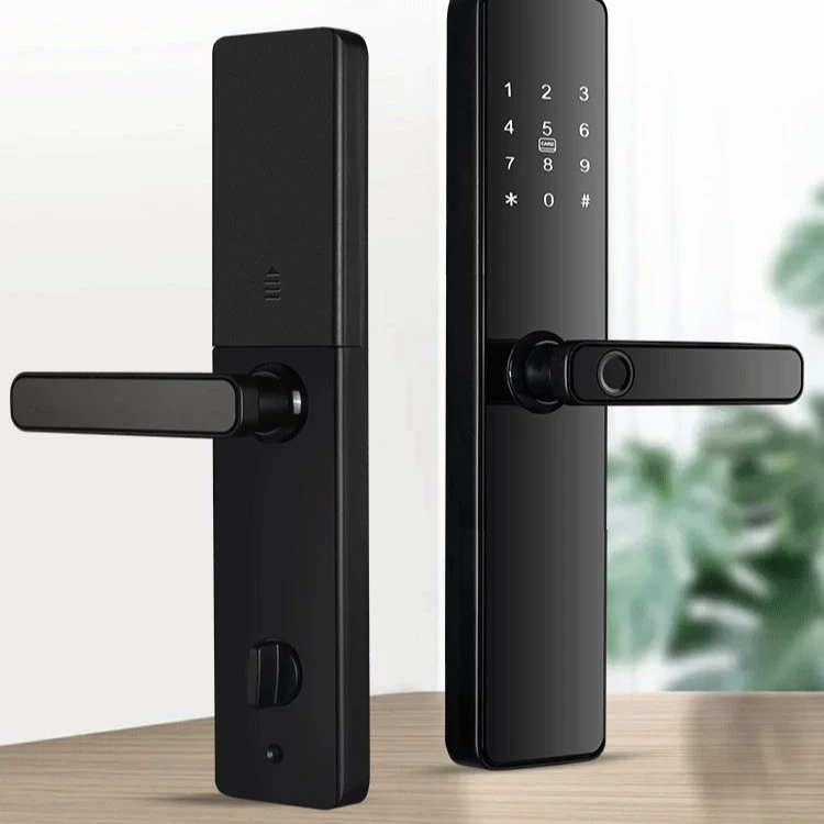 QLEUNG Smart locks S819 tuya ttlock app control unlocking with fingerprint password card and Key digital wifi door Lock