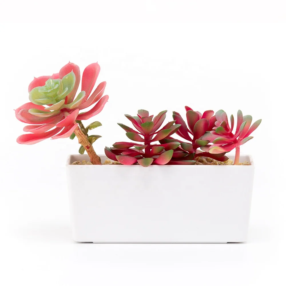 Plastic Rectangle Flower Pots Square Flowerpots Small Melamine Rectangular Succulent Plant Pot
