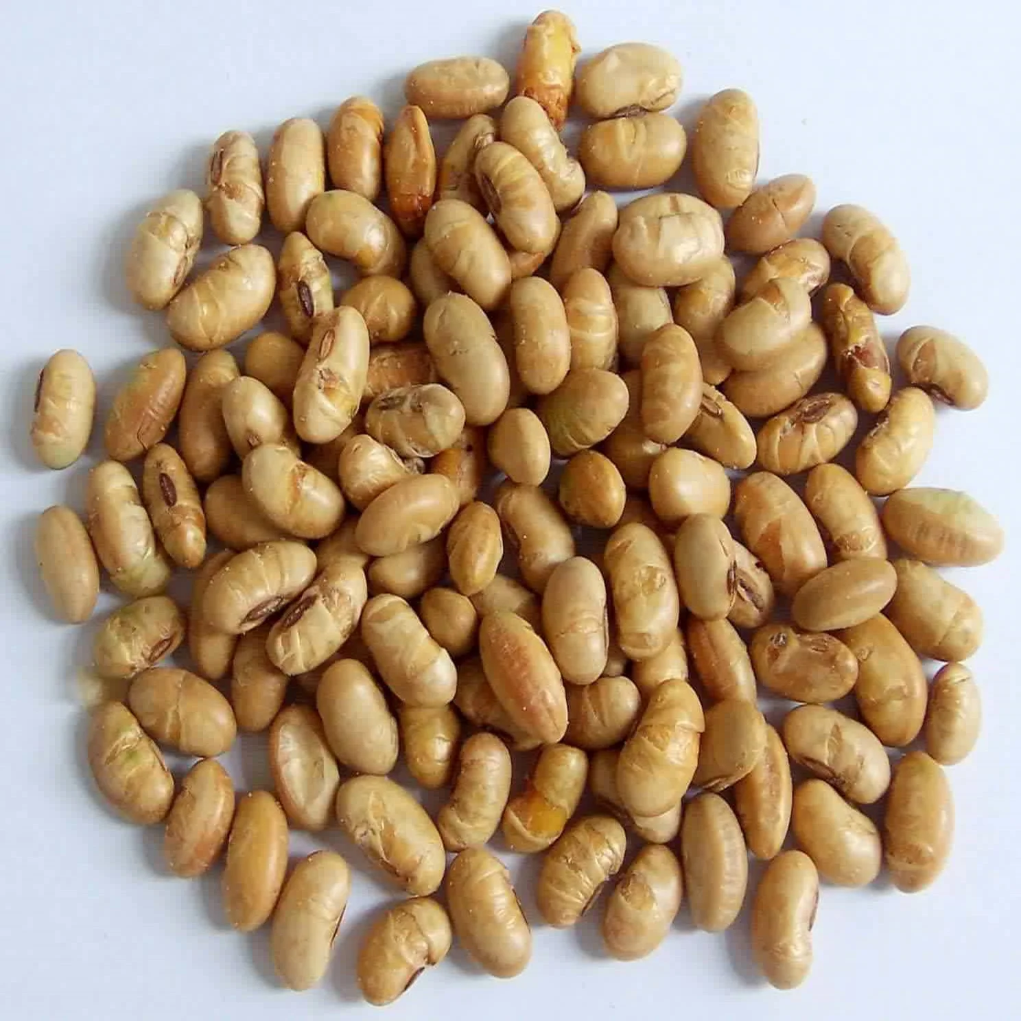 Superior Quality Sea Salt Roasted Soya Bean Snacks Healthy Nutritious