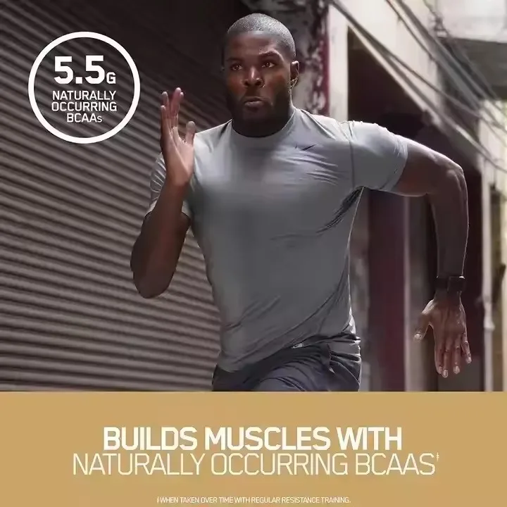 Private Labels Healthcare Supplement Products WPI Protein Bars Chocolate 5lbs Gold Standard Protein Powder Whey Protein