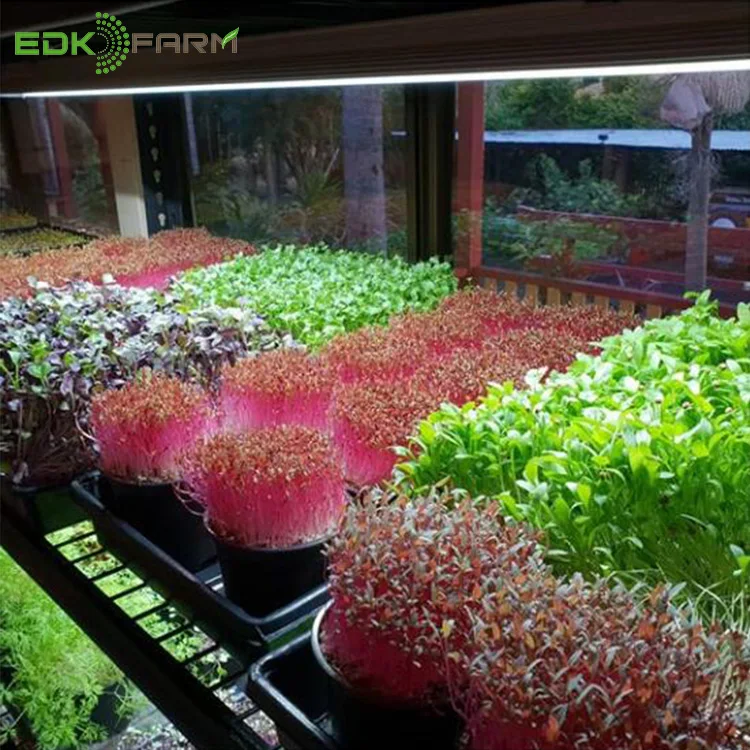 Новейшая высокопроизводительная Светодиодная лампа полного спектра для гидропоники выращивания растений в
