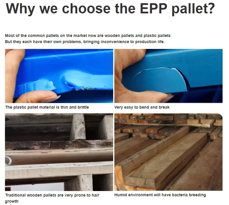 Recyclable biodegradable EPP foam pallet Non-toxic food grade plastic pallet Cold chain fresh food transportation pallet